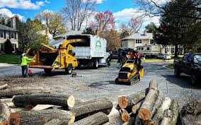 Best Artificial Turf Installation  in Berlin, NJ